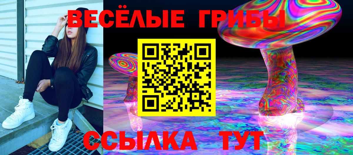 Галлюциногенные грибы Psilocybine cubensis Снежинск